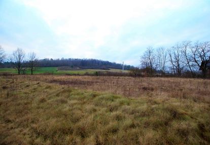 Działka 1137 m2, zajączków (gm. piekoszów)