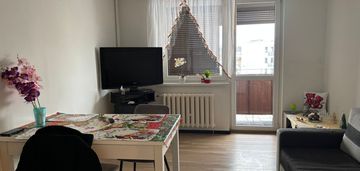 Kawalerka dla ciebie - wągrowiec