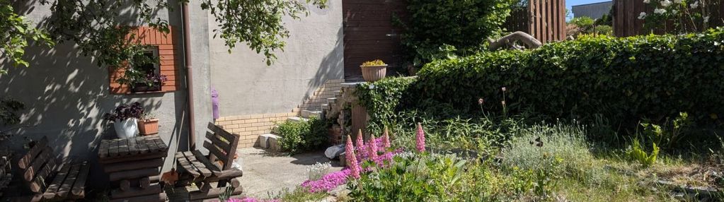 Na sprzedaż działka rod z domkiem 35m2,gd-jasień