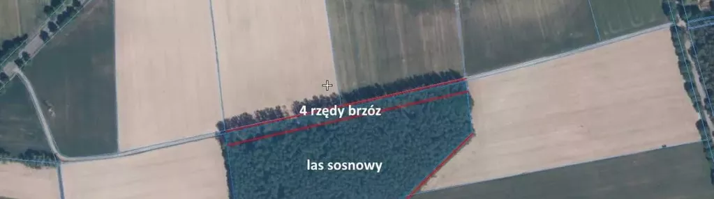 Działka na sprzedaż 238m2