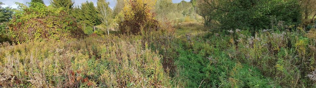 Działki budowlano-usługowe w michałowicach!