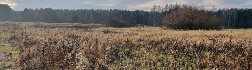 Działka bud/uzbrojona/malerzów wśród lasów