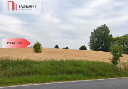 Duża działka inwestycyjna, możliwość zakupu dwóch