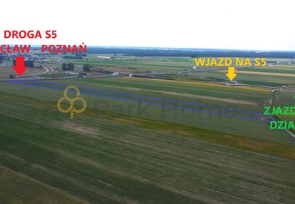 Działki inwestycyjne w święciechowie z mpzp z vat!