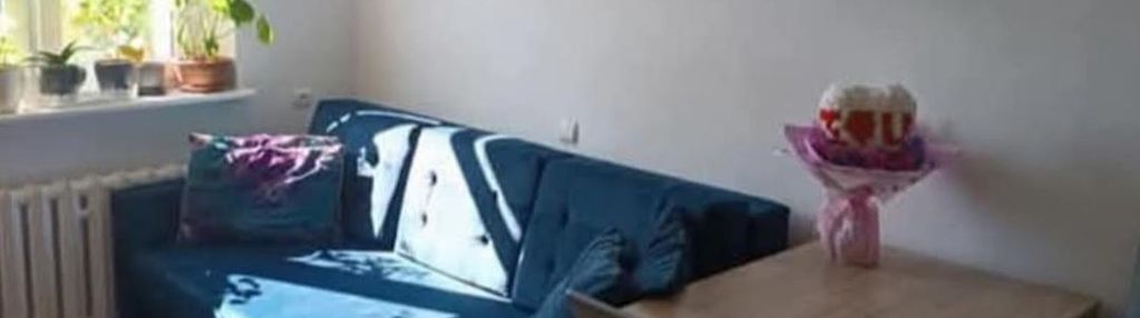 Trzy pokoje, możliwość adaptacji strychu