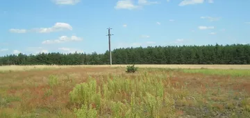 Działka na sprzedaż 3000m2