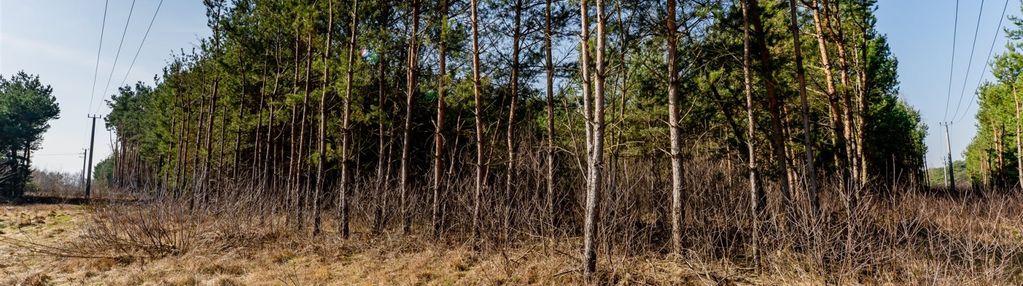 Gotowa pod zabudowę!