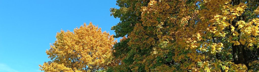 0 % prowizji !  okazja  nowa  niższa cena  ! ! !