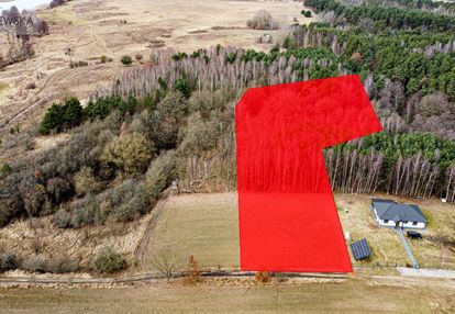 Duża działka z własnym lasem w kępie!