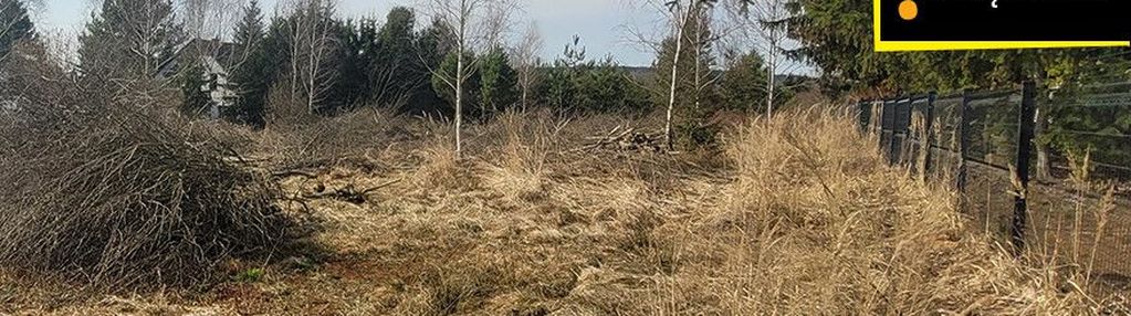 Samsonów – duża działka 0,5 ha, media w drodze