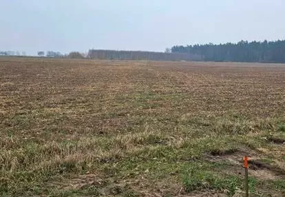 Działka na sprzedaż 1100m2