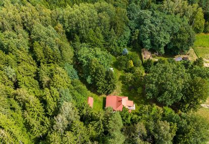 ***leśniczówka na końcu świata***las*podlasie