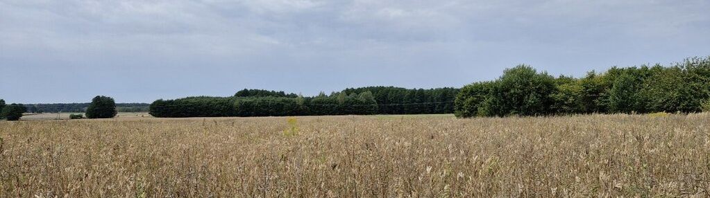 Do sprzedaży działka rolno-leśna