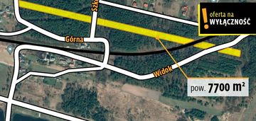 Działka - lasy - 7700m2