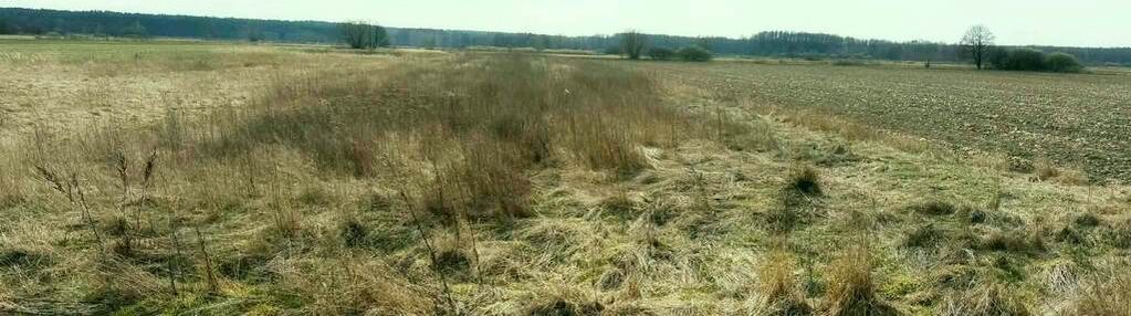 Na sprzedaz działka  rolna gm baranów 3562 m2