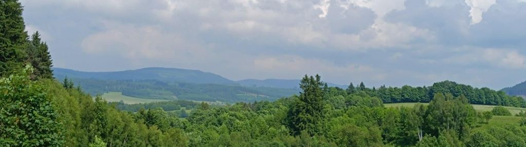 Widok na pasmo gór sowich ok 5 km od głuszycy