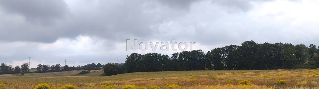 Działka z aktualnymi warunkami zabudowy na 4 domy!