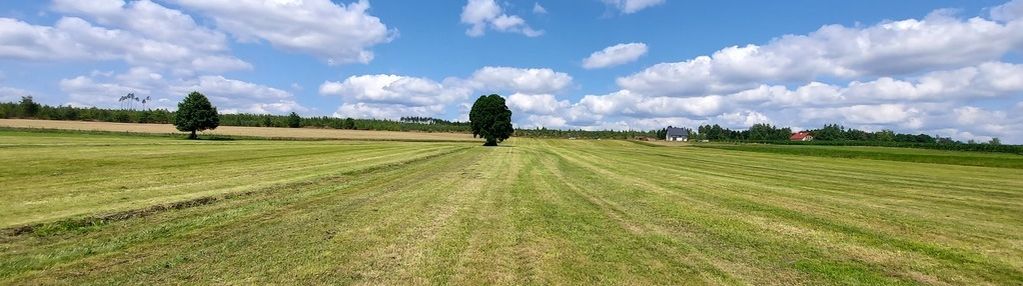 Przepiękny teren pod siedlisko | leśno, gm. brusy