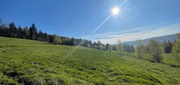 2 ha widokowej dzialki z mozliwoscia zabudowy!