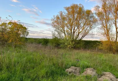 Działka na sprzedaż 1000m2