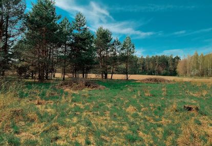 Działka siedliskowa w pobliżu białegostoku.
