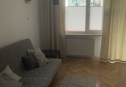 Do wynajęcia 2-pokojowe mieszkanie (42m2) na Powiś