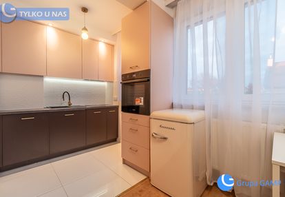 Dobrze wyposażone nowe ice kraków *stare dębniki*