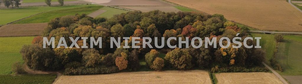 Park podworski kiełki – rezydencja z historią
