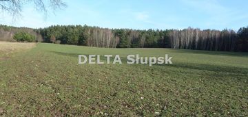 ⭐ działka inwestycyjna w kruszynie