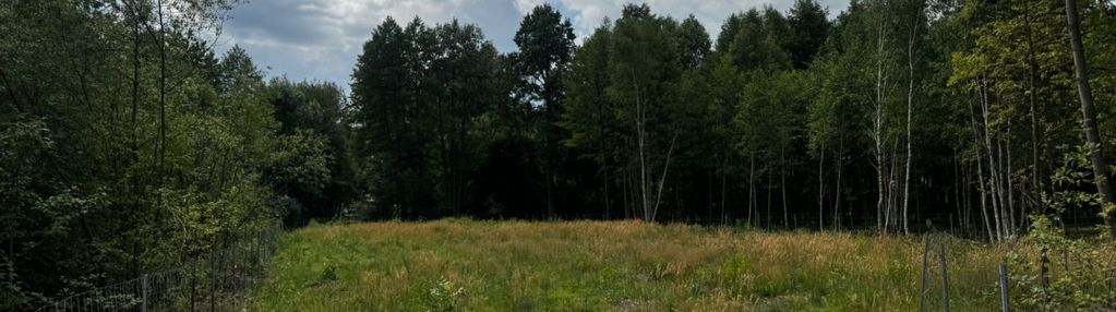 Wz l zabudowa jednorodzinna l gm. tłuszcz