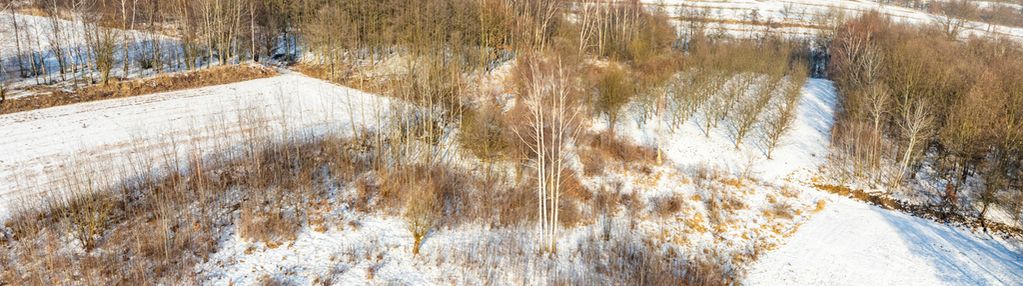 Rolna w urokliwej okolicy