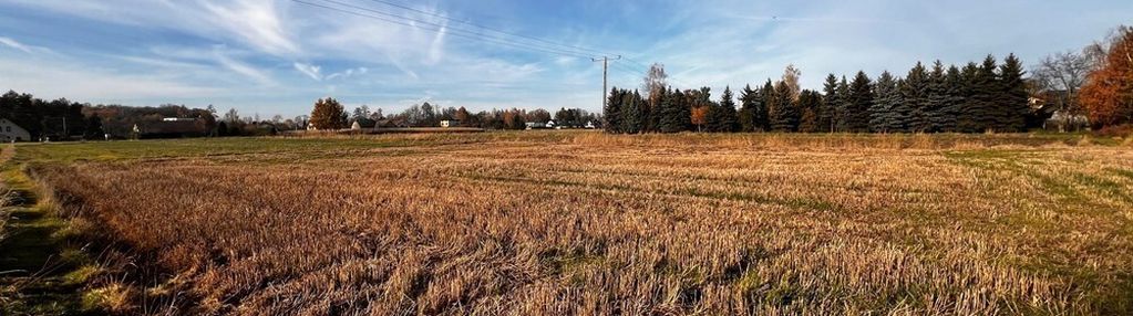 Bestwinka - 5 działek budowlanych