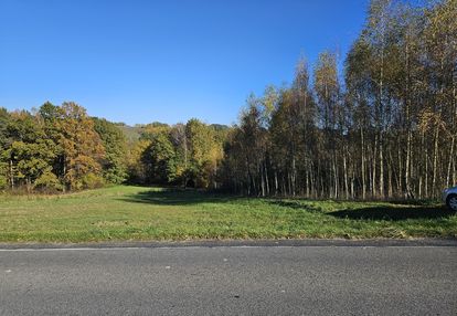 Działka w turzy 34 ar rolno-budowlana