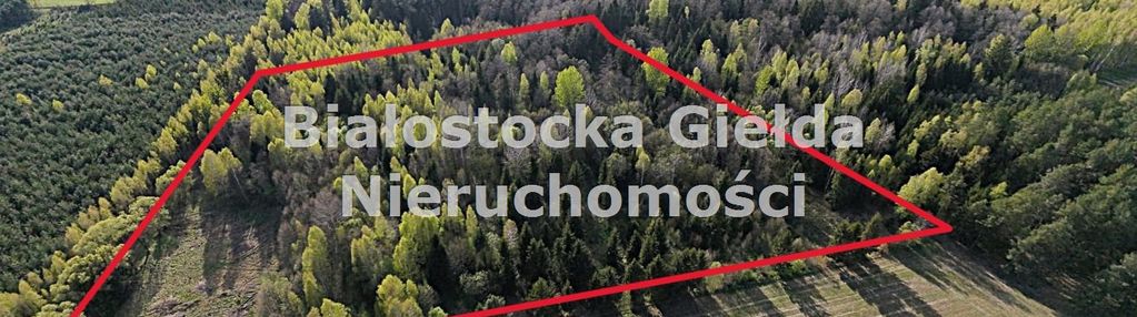 Działka 1,91ha//na kolonii//warunki zabudowy