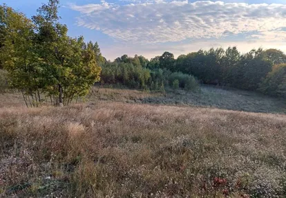 Działka rolna Miastko