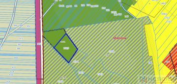 Działka leśna 5200 m² – maliszew