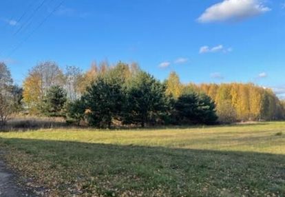 Działka z zabudową jednorodzinną, linia 110 kv