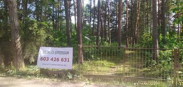 Działka w lesie.