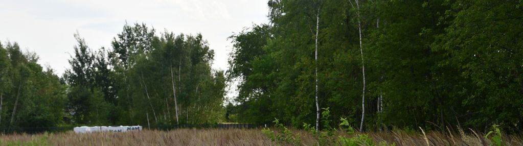 Działki 2 x 11a pod zabudowę - rudna mała