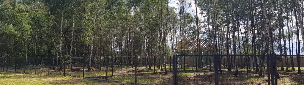 Zalesiona działka budowlana w cichej okolicy.