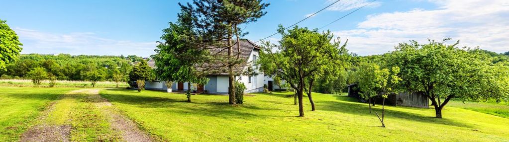 Klimatyczne siedlisko (1,77 ha) bieńkowice