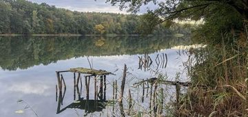 Działka z bezpośrednim dostępem do j.wapieńskiego