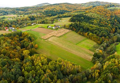 Działka lichwinie. rolno-leśna, okazja !!