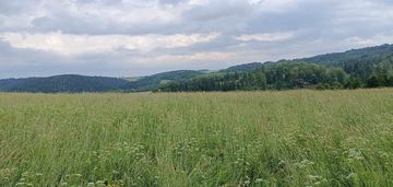 8000 m2  zabudowa mieszkaniowa w górach sowich