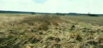 Na sprzedaz działka  rolna gm baranów 3562 m2