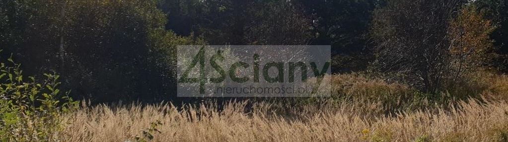 Inwestycyjnie w starym łajszczewie