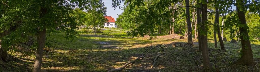 Zacisze_las_mpzp_blisko media_natura, zobacz film