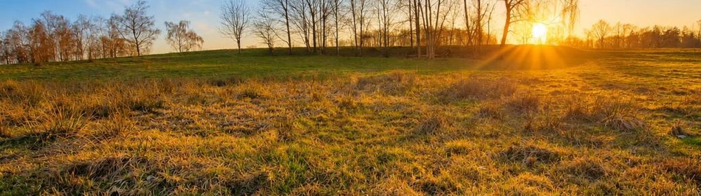 Przestronna słoneczna działka siedliskowa na wsi