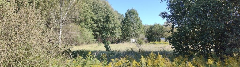 Działka rolno-budowlana 3 km od aleksandrowa łódz.