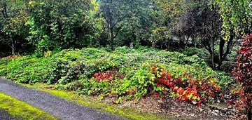 Działka budowlana - centrum dąbrowy górniczej